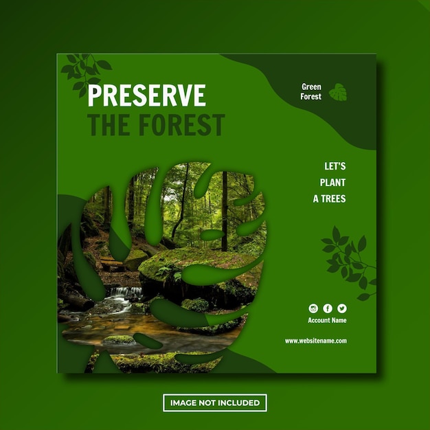 Modello di social media post instagram foresta verde