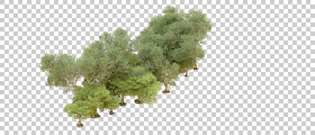 PSD green forest isolated on background 3d rendering illustration