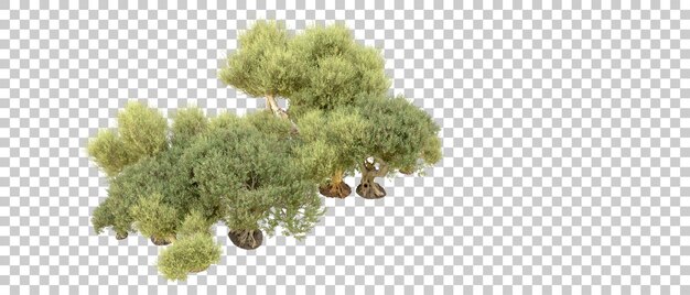 green forest isolated on background 3d rendering illustration