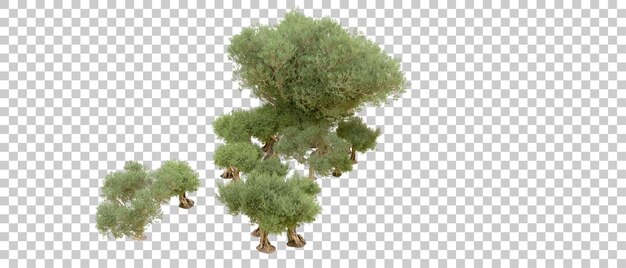 green forest isolated on background 3d rendering illustration