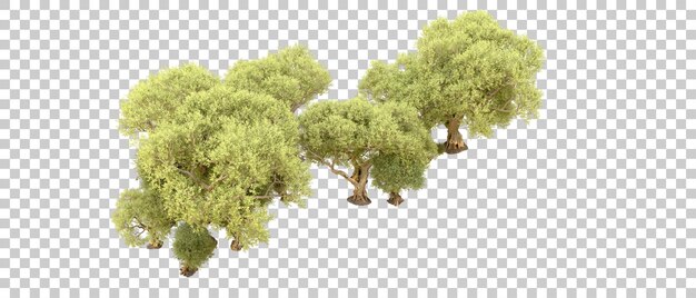 PSD green forest isolated on background 3d rendering illustration