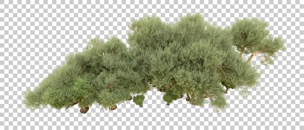 Foresta verde isolata sullo sfondo illustrazione di rendering 3d