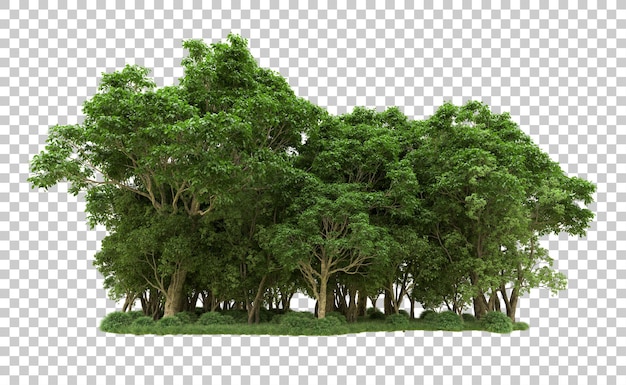 PSD foresta verde isolata sull'illustrazione del rendering 3d dello sfondo