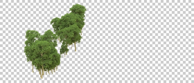 PSD green forest isolated on background 3d rendering illustration