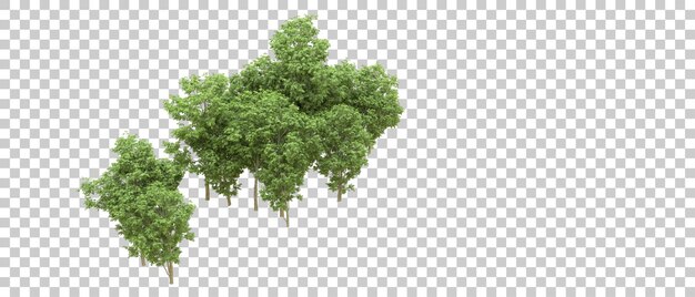 green forest isolated on background 3d rendering illustration