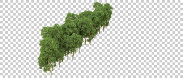 PSD foresta verde isolata sullo sfondo illustrazione di rendering 3d