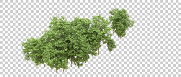 Green forest isolated on background 3d rendering illustration