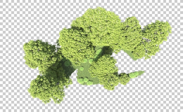 Foresta verde isolata sullo sfondo illustrazione di rendering 3d