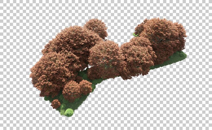 PSD green forest isolated on background 3d rendering illustration