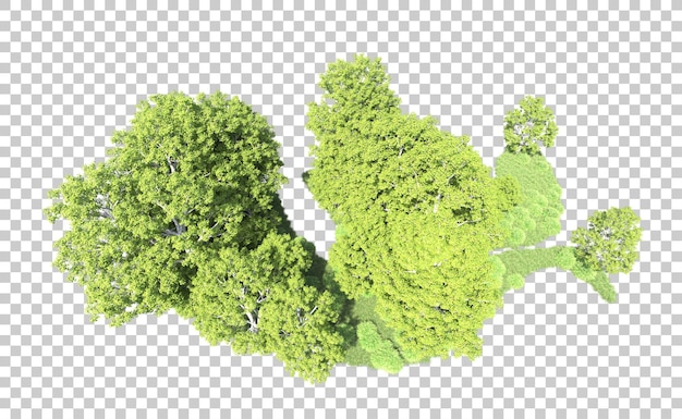 Foresta verde isolata sullo sfondo illustrazione di rendering 3d