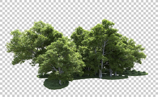 Foresta verde isolata sullo sfondo illustrazione di rendering 3d