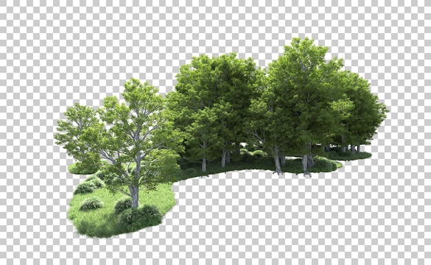 Green forest isolated on background 3d rendering illustration