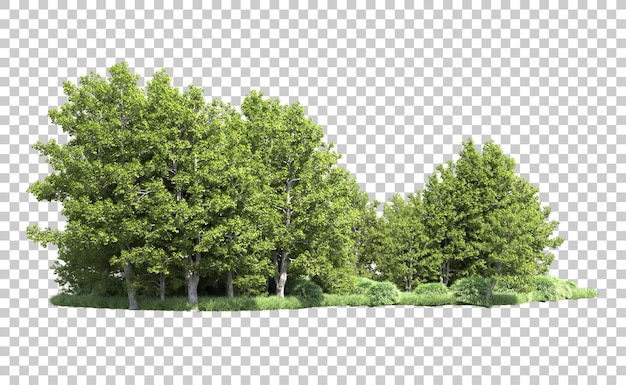 Foresta verde isolata sullo sfondo illustrazione di rendering 3d