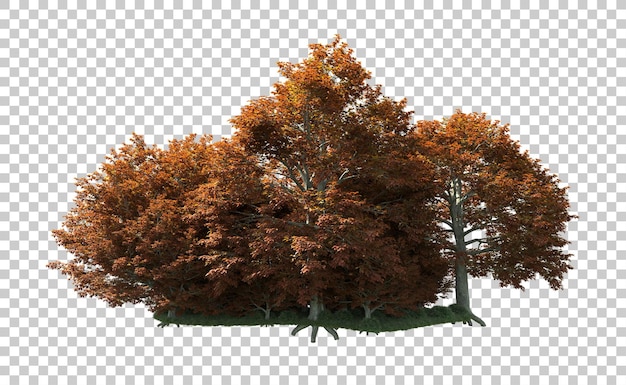 Foresta verde isolata sullo sfondo illustrazione di rendering 3d