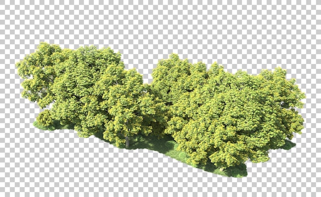 Foresta verde isolata sullo sfondo illustrazione di rendering 3d