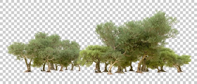ป่าสีเขียวแยกจากพื้นหลัง ภาพเรนเดอร์ 3 มิติ