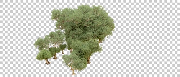 green forest isolated on background 3d rendering illustration