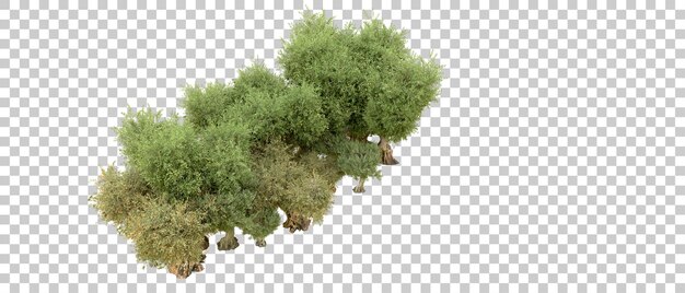 PSD green forest isolated on background 3d rendering illustration