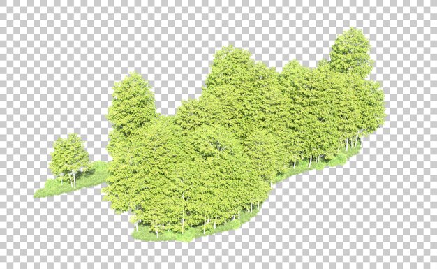 PSD foresta verde isolata sullo sfondo illustrazione di rendering 3d