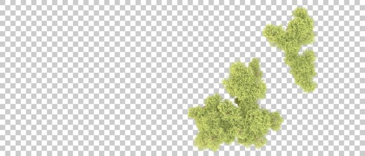 PSD 배경에 분리 된 녹색 숲 3d 렌더링 일러스트레이션