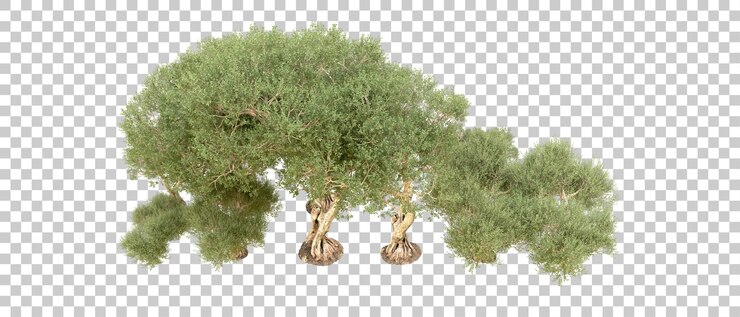 PSD 배경에 분리 된 녹색 숲 3d 렌더링 일러스트레이션
