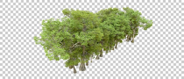 बैकग्राउंड 3D रेंडर चित्रण पर अलग किया गया हरा जंगल