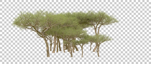 green forest isolated on background 3d rendering illustration