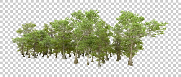 Green forest isolated on background 3d rendering illustration
