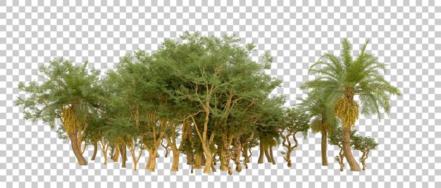 बैकग्राउंड 3D रेंडर चित्रण पर अलग किया गया हरा जंगल
