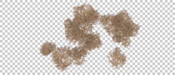 PSD 緑の森が背景に隔離されている 3d レンダリングイラスト