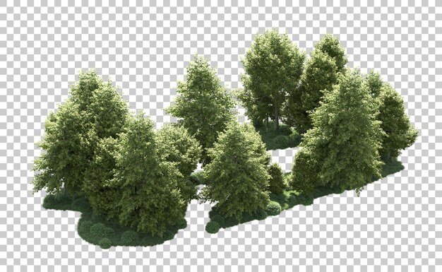 PSD Зеленый лес изолирован на фоне 3d-илюстрации