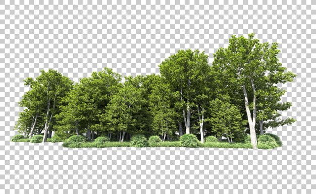 PSD 緑の森が背景に隔離されている 3d レンダリングイラスト