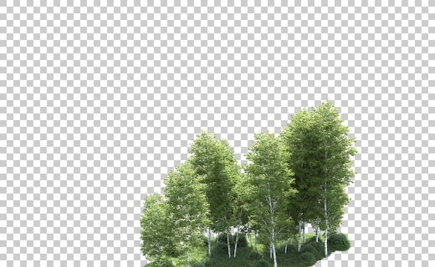 Зеленый лес изолирован на фоне 3d-илюстрации