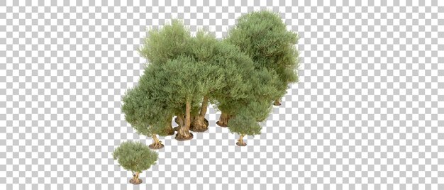 Зеленый лес изолирован на фоне 3d-илюстрации