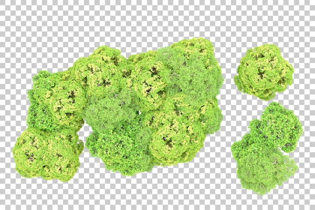Зеленый лес изолирован на прозрачном фоне 3d-илюстрация