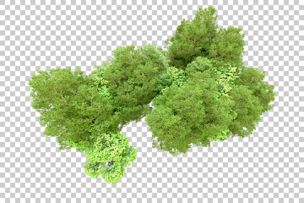 green forest isolated on transparent background 3d rendering illustration