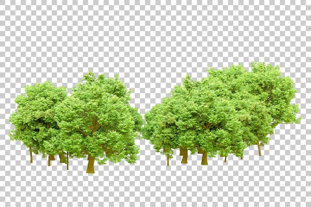 PSD Зеленый лес, изолированный на прозрачном фоне 3d-илюстрации