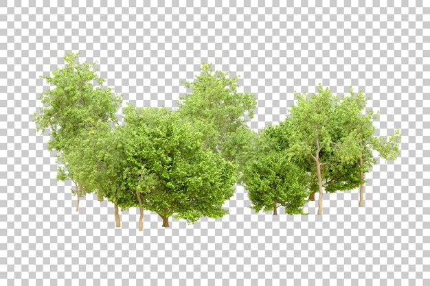 PSD foresta verde isolata su uno sfondo trasparente illustrazione di rendering 3d