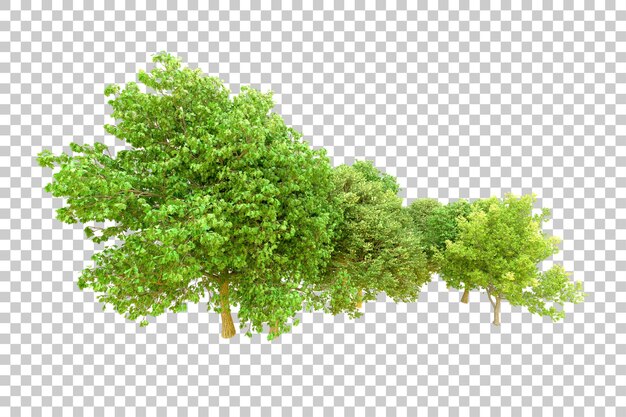 PSD foresta verde isolata su uno sfondo trasparente illustrazione di rendering 3d