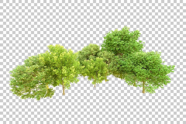 Green forest isolated on transparent background 3d rendering illustration