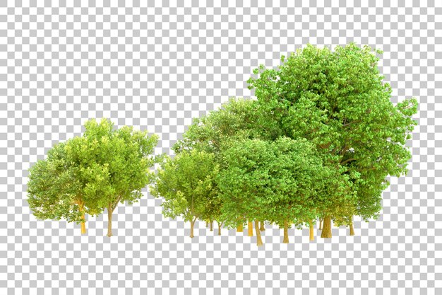 Green forest isolated on transparent background 3d rendering illustration