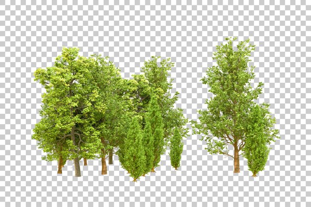 Foresta verde isolata su uno sfondo trasparente illustrazione di rendering 3d