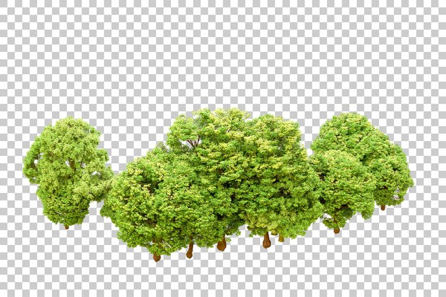 PSD foresta verde isolata su uno sfondo trasparente illustrazione di rendering 3d