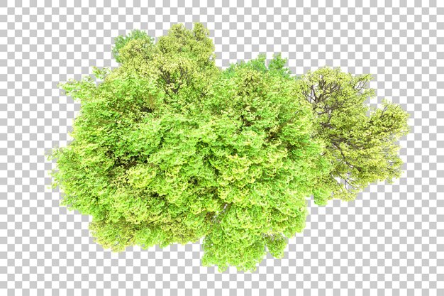 PSD foresta verde isolata su uno sfondo trasparente illustrazione di rendering 3d