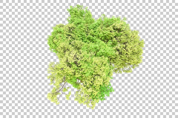 Foresta verde isolata su uno sfondo trasparente illustrazione di rendering 3d