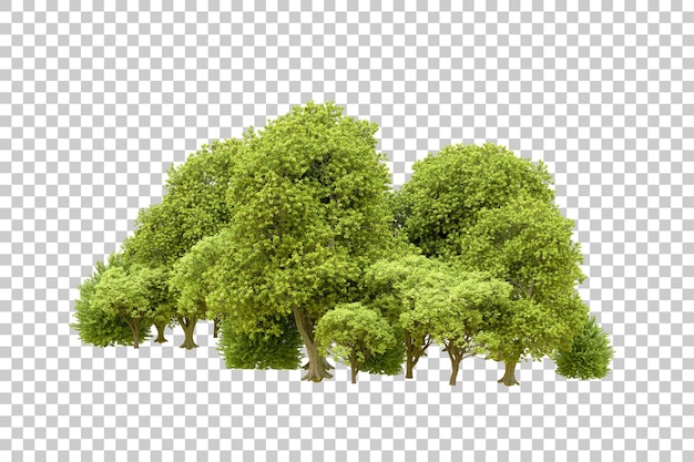 Green forest isolated on transparent background 3d rendering illustration