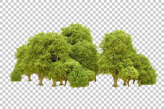 Green forest isolated on transparent background 3d rendering illustration