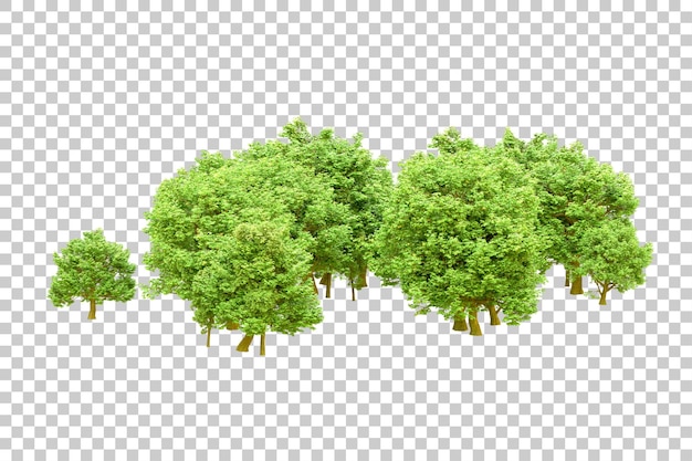 Foresta verde isolata su sfondo trasparente illustrazione di rendering 3d