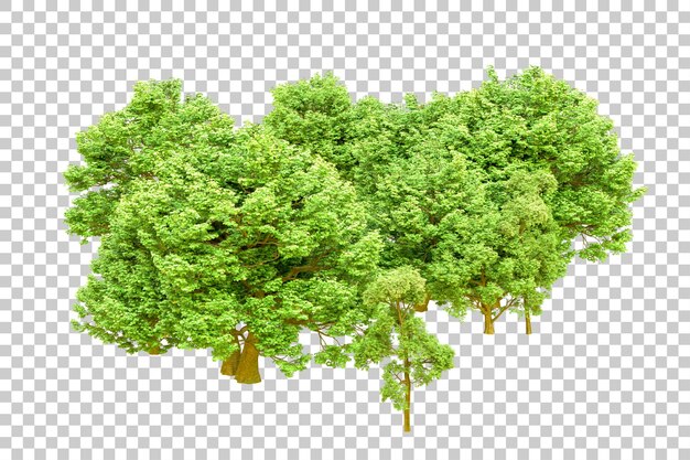 PSD foresta verde isolata su sfondo trasparente illustrazione di rendering 3d