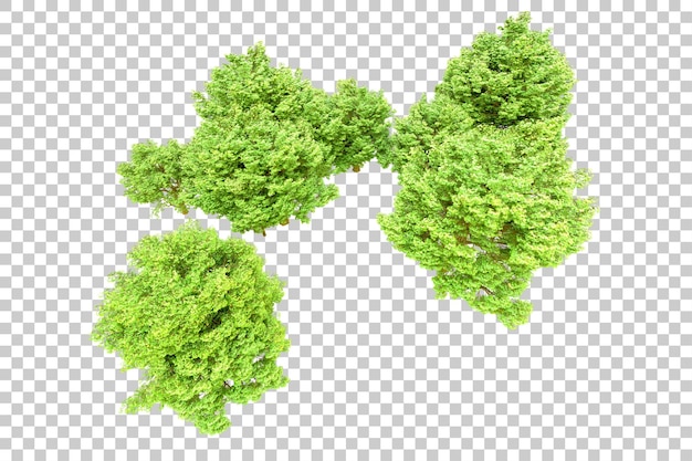 PSD foresta verde isolata su sfondo trasparente illustrazione di rendering 3d